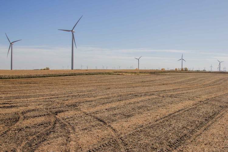 Harvesting the Breeze: The Value of Wind Energy in the US