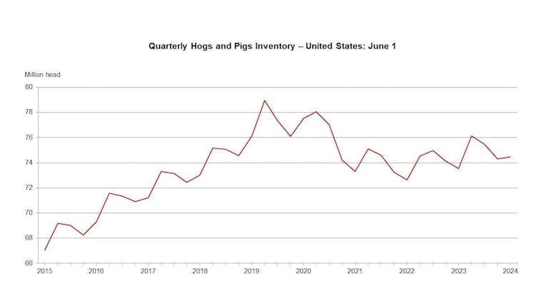 US Hog Inventory Increases by 1%