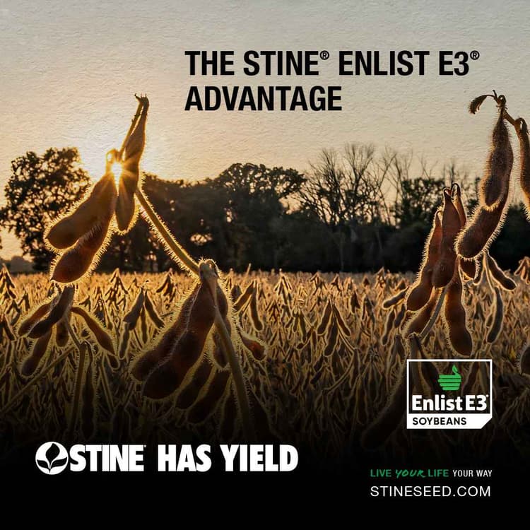 Stine Seed Company: Driving Innovation With Enlist E3 Soybeans