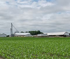 NCF Accepting Applications For CME Beef Industry Scholarships