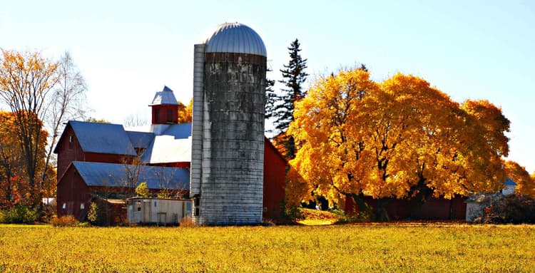 Fresh Air, Full Bins