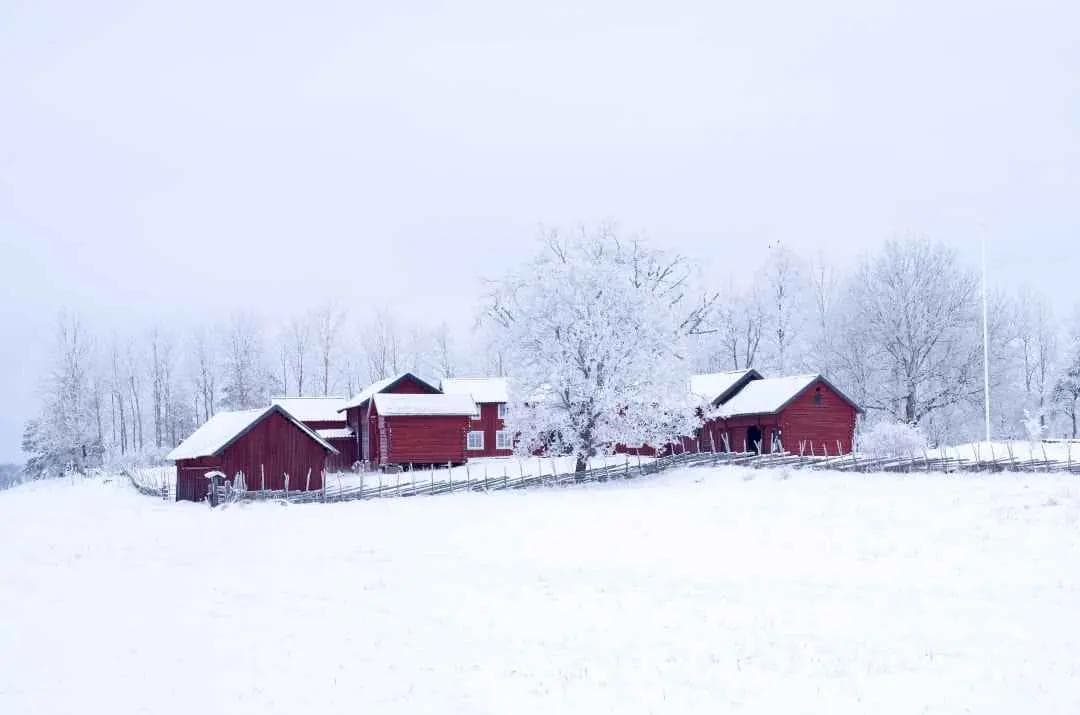 external photo of a snowy acreage with red property and white tree